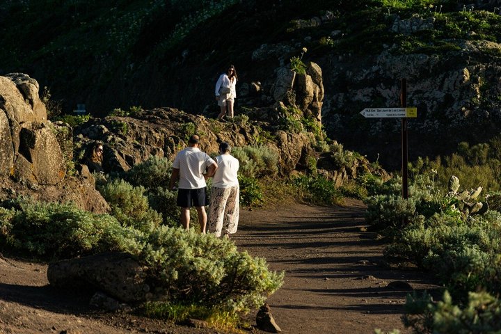 Tenerife Highlights Giants & Masca Coastal Cliffs