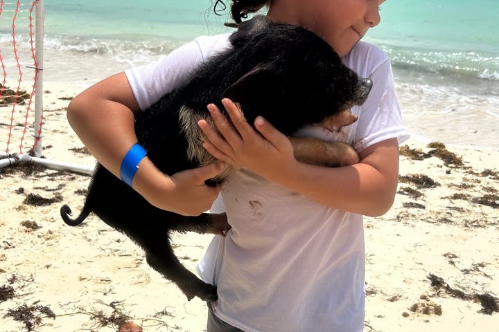 Swim with the Pigs Freeport @Creative Eco Adventures