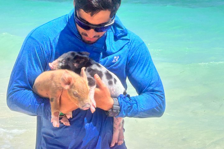 Swim with the Pigs Freeport @Creative Eco Adventures