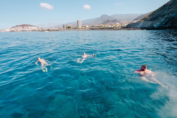 Tenerife Ecoyacht Tour for Whale Watching