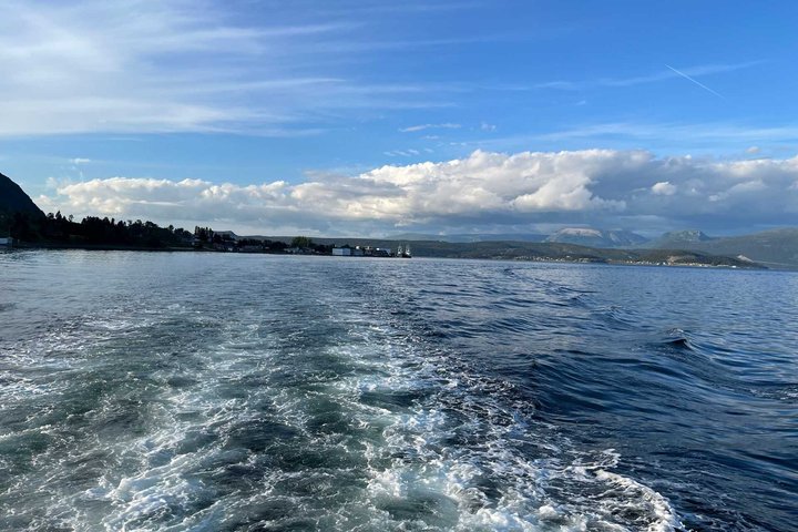Bonne Bay Evening Cruise