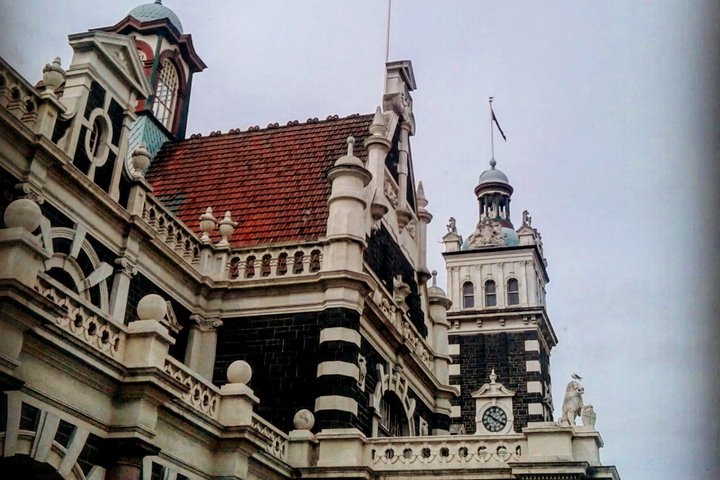 Cruise Ship Tour Dunedin City Highlights & Otago Peninsula Views