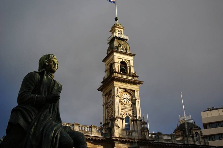 Cruise Ship Tour Dunedin City Highlights & Otago Peninsula Views