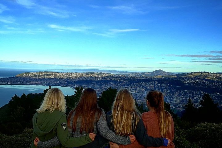 Cruise Ship Tour Dunedin City Highlights & Otago Peninsula Views