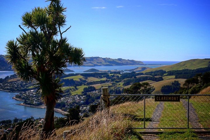 Cruise Ship Tour Dunedin City Highlights & Otago Peninsula Views