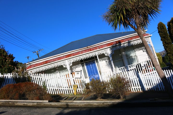 Cruise Ship Tour Dunedin City Highlights & Otago Peninsula Views