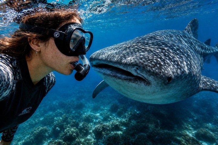 Cebu: Oslob Whale Shark Swimming & Kawasan Falls Canyoneering
