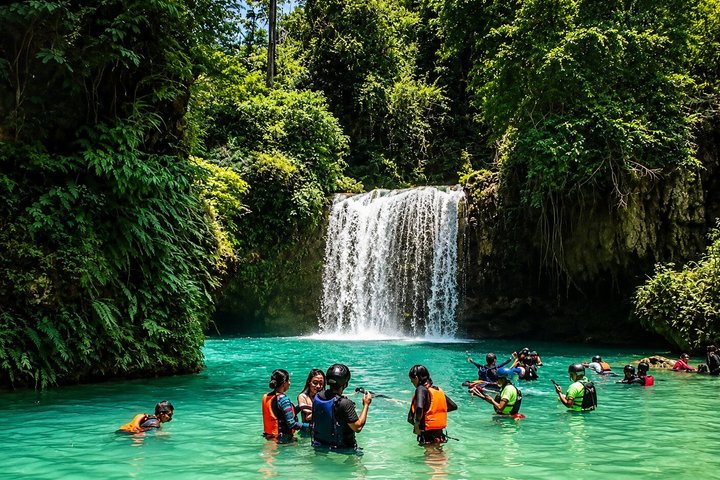 Cebu: Oslob Whale Shark Swimming & Kawasan Falls Canyoneering