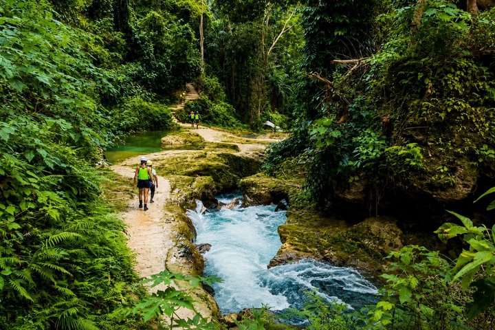 Cebu: Oslob Whale Shark Swimming & Kawasan Falls Canyoneering