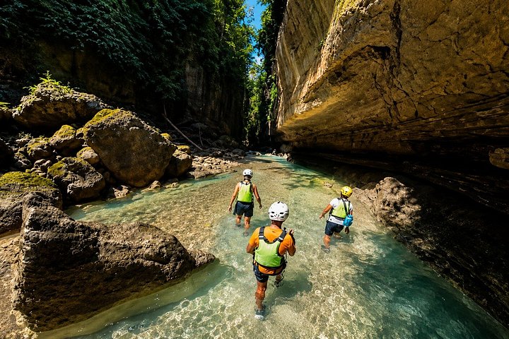 Cebu: Oslob Whale Shark Swimming & Kawasan Falls Canyoneering