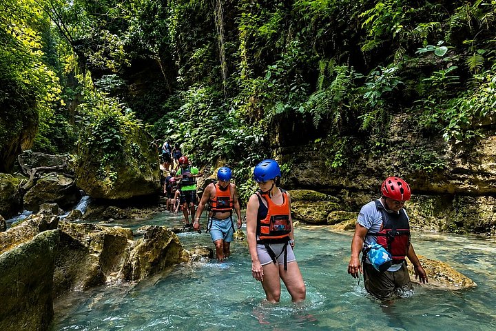 Cebu: Oslob Whale Shark Swimming & Kawasan Falls Canyoneering