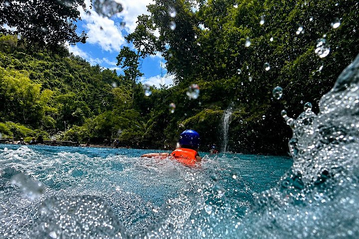 Cebu: Oslob Whale Shark Swimming & Kawasan Falls Canyoneering
