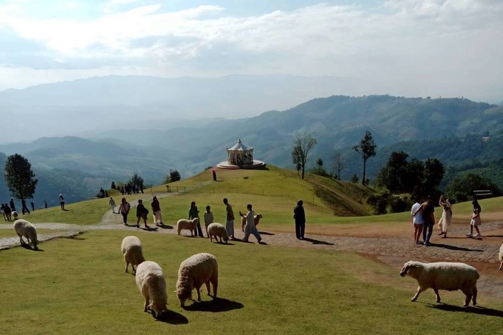 Chiang Rai to Chiang Mai Private Scenic Transfer Tour