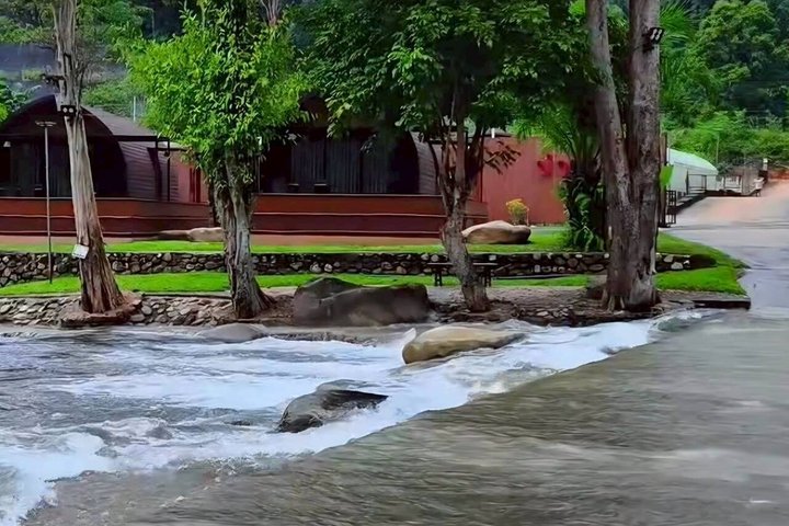Chiang Rai to Chiang Mai Private Scenic Transfer Tour