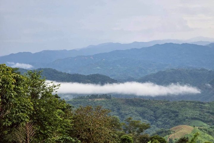 Chiang Rai to Chiang Mai Private Scenic Transfer Tour