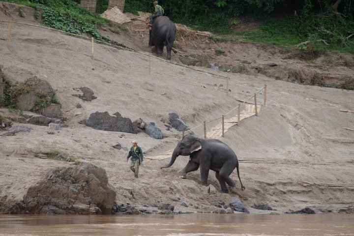 Chiang Mai: Luxury Slow Boat to Luang Prabang 3D2N
