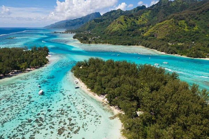 Activity/Excursion Lagoon Tour to Moorea by Canoe 6 hours
