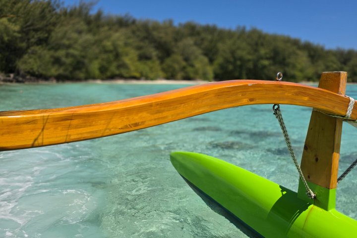 Activity/Excursion Lagoon Tour to Moorea by Canoe 6 hours