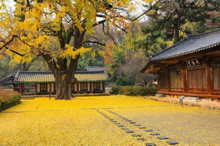 Jeonju Hanok Village and Maisan Mountain Private Group Tour