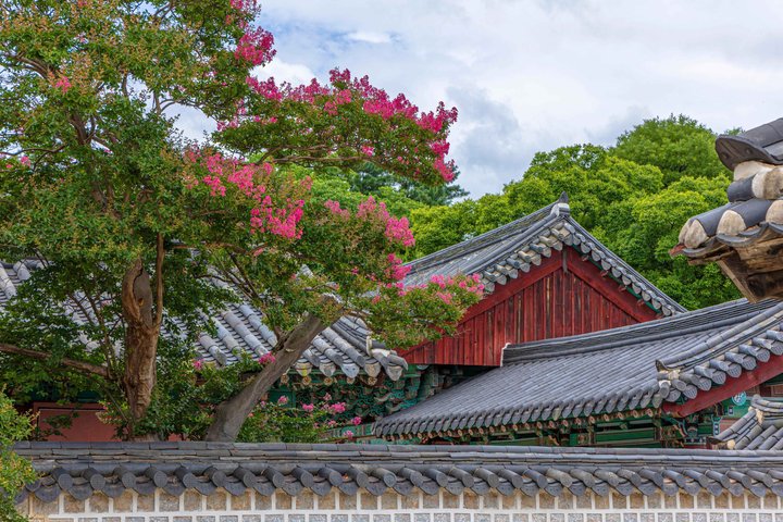 Jeonju Hanok Village and Maisan Mountain Private Group Tour