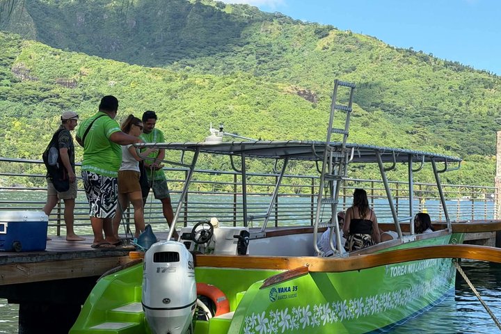 Activity/Excursion Lagoon Tour to Moorea by Canoe 6 hours