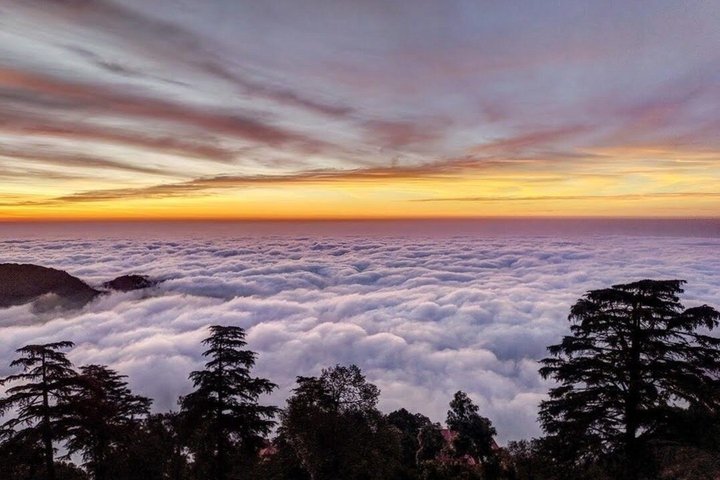 Discover Mussoorie: Private Guided Sightseeing Tour of Mussoorie