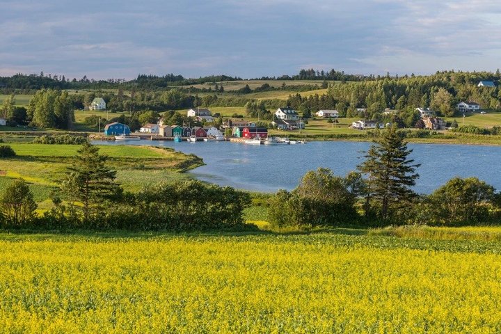 Anne of Green Gables The Classic Island Shared Tour Experience