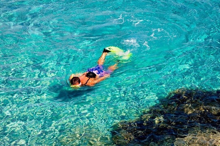 Tabarca Island and Santa Pola Day Trip from Murcia