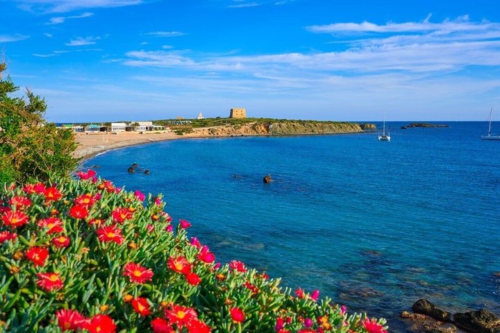 Tabarca Island and Santa Pola Day Trip from Murcia