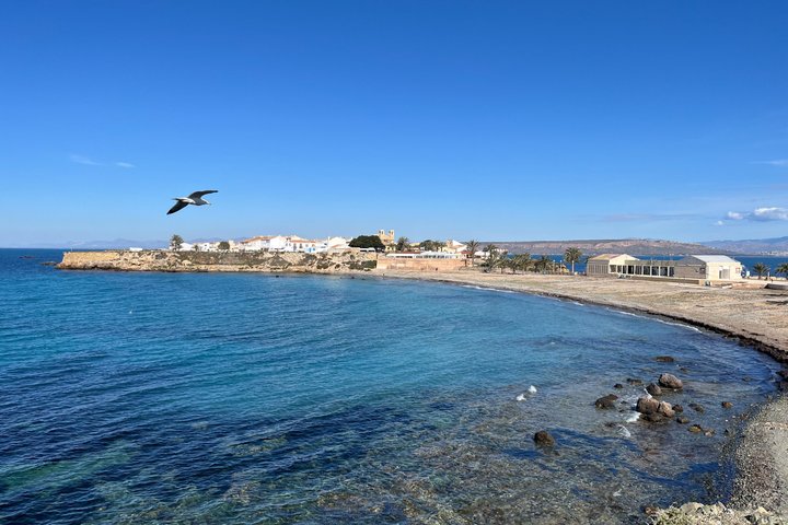 Tabarca Island and Santa Pola Day Trip from Murcia