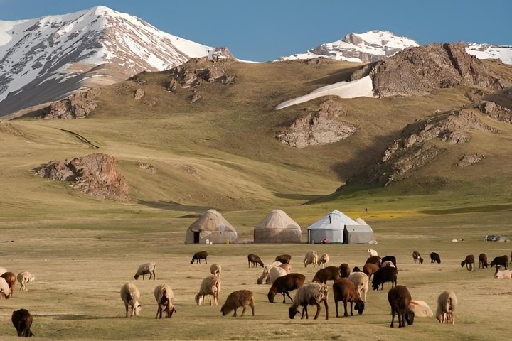 Year-Round Adventure: 3 Days Horse Trek to Song Kul Lake