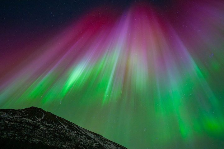 Northern Lights Tour from Svolvær