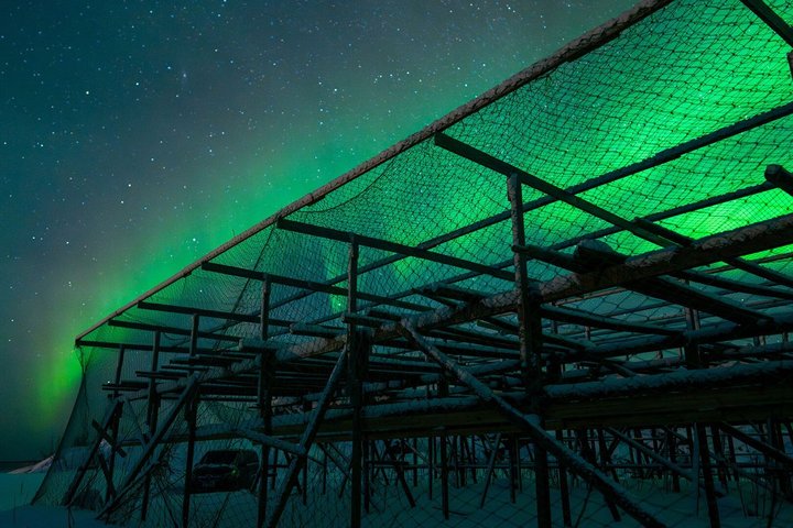 Northern Lights Tour from Svolvær