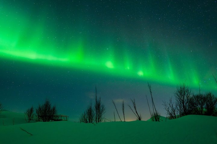 Northern Lights Tour from Svolvær