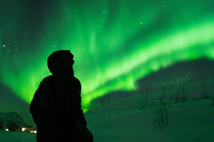 Northern Lights Tour from Svolvær