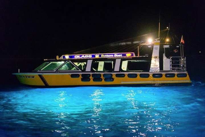 Catalina Nighttime Flying Fish and Undersea Adventure Cruise