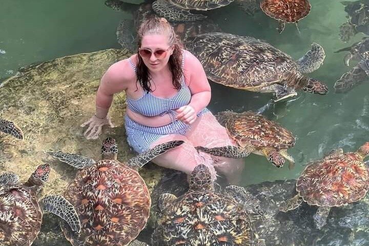 Mnemba Dolphins, Snorkeling & Nungwi Swim With Sea Turtles