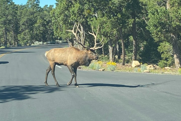 Grand Canyon Day Tour with Lunch Included - Pickup from Flagstaff