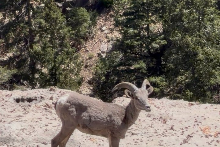 Grand Canyon Day Tour with Lunch Included - Pickup from Flagstaff