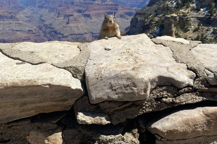 Grand Canyon Day Tour with Lunch Included - Pickup from Flagstaff