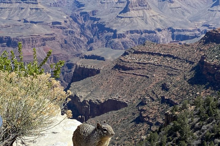 Grand Canyon Day Tour with Lunch Included - Pickup from Flagstaff