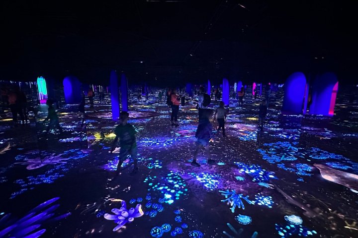 Bubble Planet Immersive Interactive Experience in Washington DC