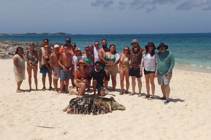 Nassau 3-stops: Snorkeling, Swimming Pigs, Turtles & Lunch