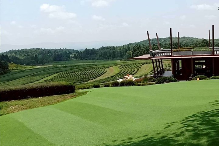Customizable Private Day Tour of Chiang Rai Highlights