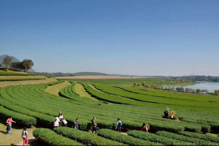 Customizable Private Day Tour of Chiang Rai Highlights
