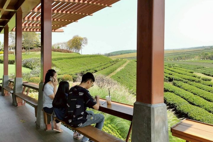 Customizable Private Day Tour of Chiang Rai Highlights