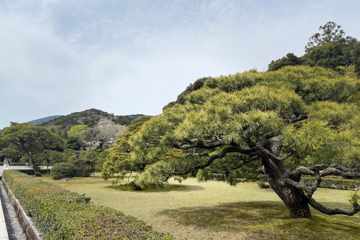 Ise Private Custom Tour: A Sacred Pilgrimage, Shrine & Nature