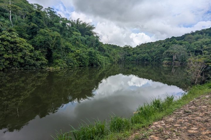 Pugu Hills Guided Trail Walk & Bird watching (Full-Day Trip)