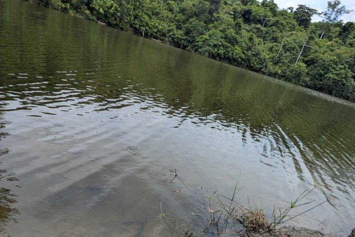 Pugu Hills Guided Trail Walk & Bird watching (Full-Day Trip)