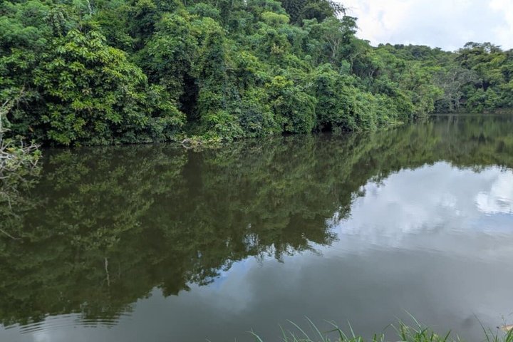 Pugu Hills Guided Trail Walk & Bird watching (Full-Day Trip)